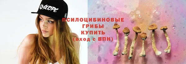 ГАЛЛЮЦИНОГЕННЫЕ ГРИБЫ Богородск
