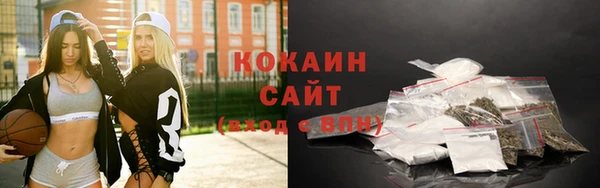 гашик Богданович