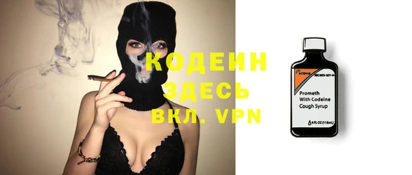 молекула духа Богородицк