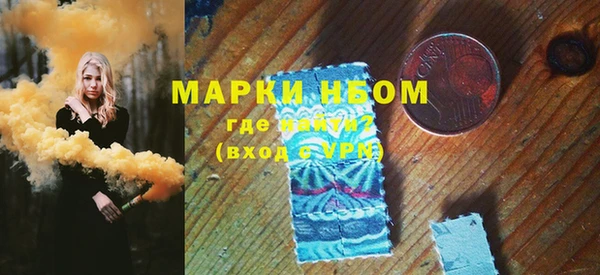 молекула духа Богородицк
