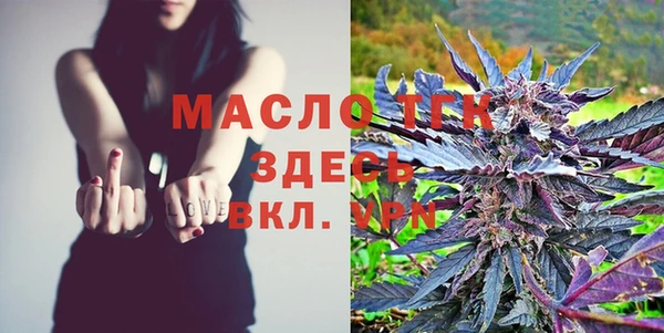 молекула духа Богородицк