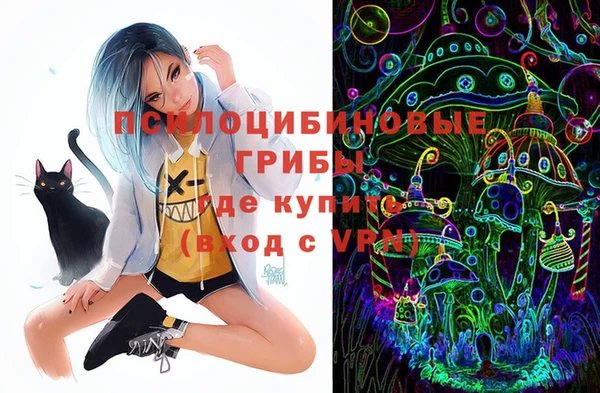 бошки Бугульма