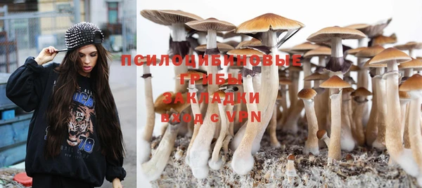 ГАЛЛЮЦИНОГЕННЫЕ ГРИБЫ Богородск