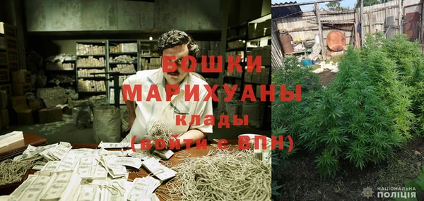 гашик Богданович