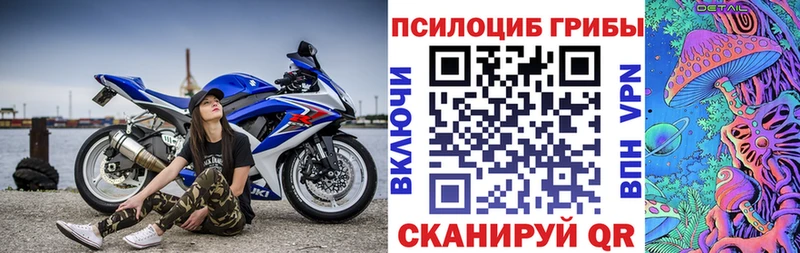 Галлюциногенные грибы Psilocybe  Ефремов 